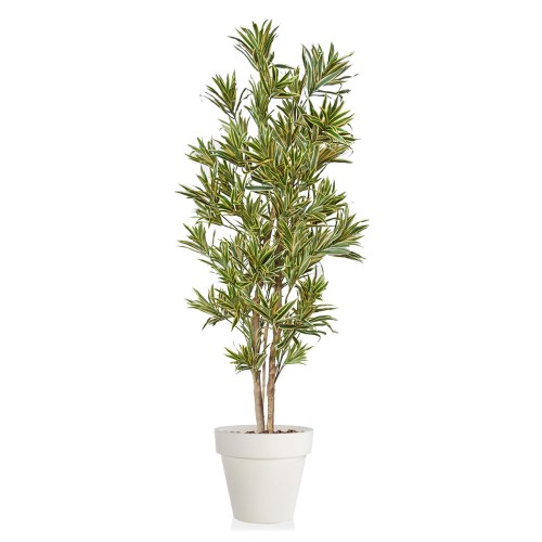 Planta semi-artificiala Ila, Dracaena Reflexa Almora Variegated - 170 cm
